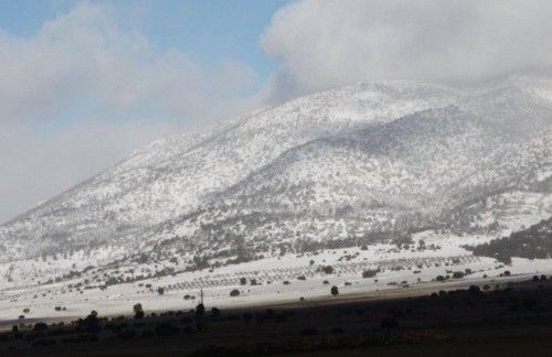 El temporal tiñe de blanco los campos de Moratalla y Caravaca