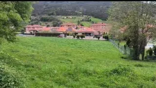 Nuevo ataque de lobo junto a la zona deportiva y escolar de la villa de Salas: "Juzguen ustedes mismos"