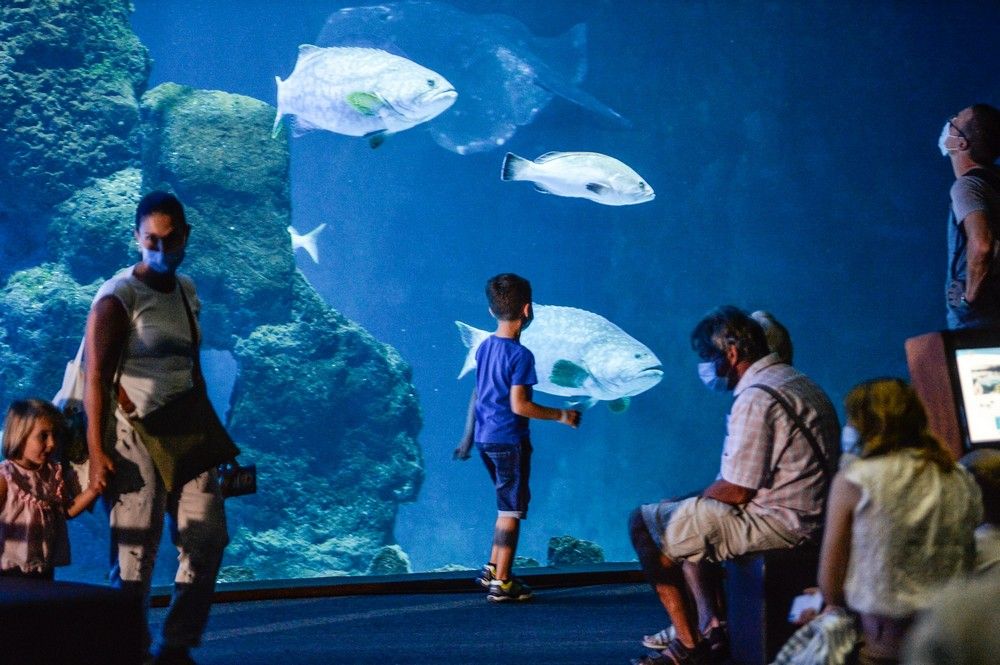 Los turistas visitan el acuario Poema del Mar