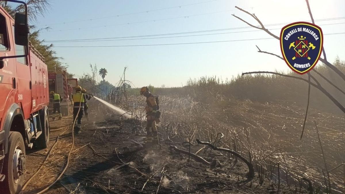 Los bomberos, en el incendio de s'Albufera.