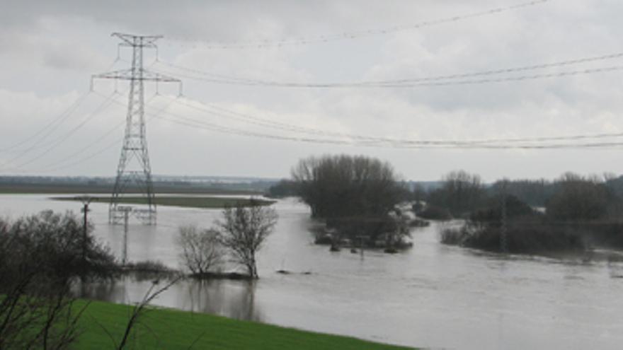 El Tiétar inunda cuarenta hectáreas en el Rincón de la Vega de Jaraíz