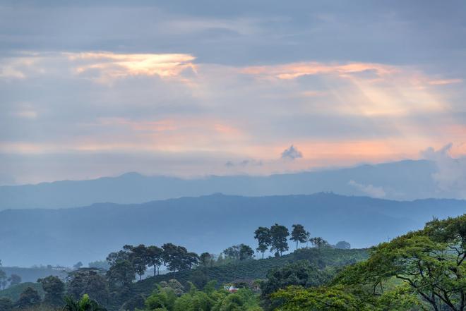 Eje Cafetero colombiano