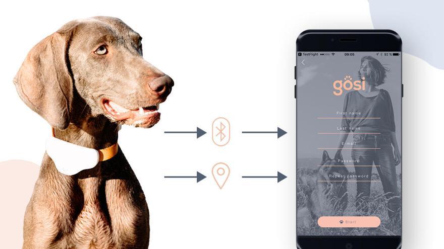 Una startup valenciana comercializa un collar con geolocalización para mascotas