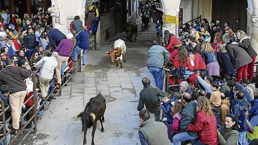 18 comparsas reavivan el Carnaval