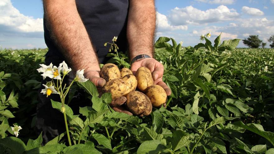 Catalunya prepara una nova llei d’agricultura sostenible