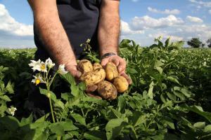 Catalunya prepara una nova llei d’agricultura sostenible