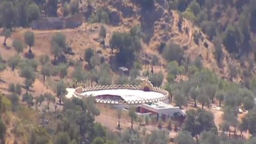 Cultivo de marihuana en una plaza de toros