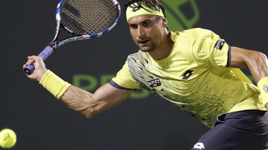 David Ferrer