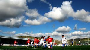 La llei prohibirà el consum d’alcohol en clubs quan hi hagi partits infantils