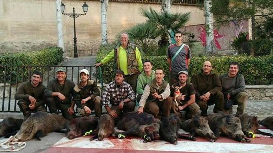 Los cazadores abaten una docena de jabalíes en Atzeneta, El Palomar y Bufali