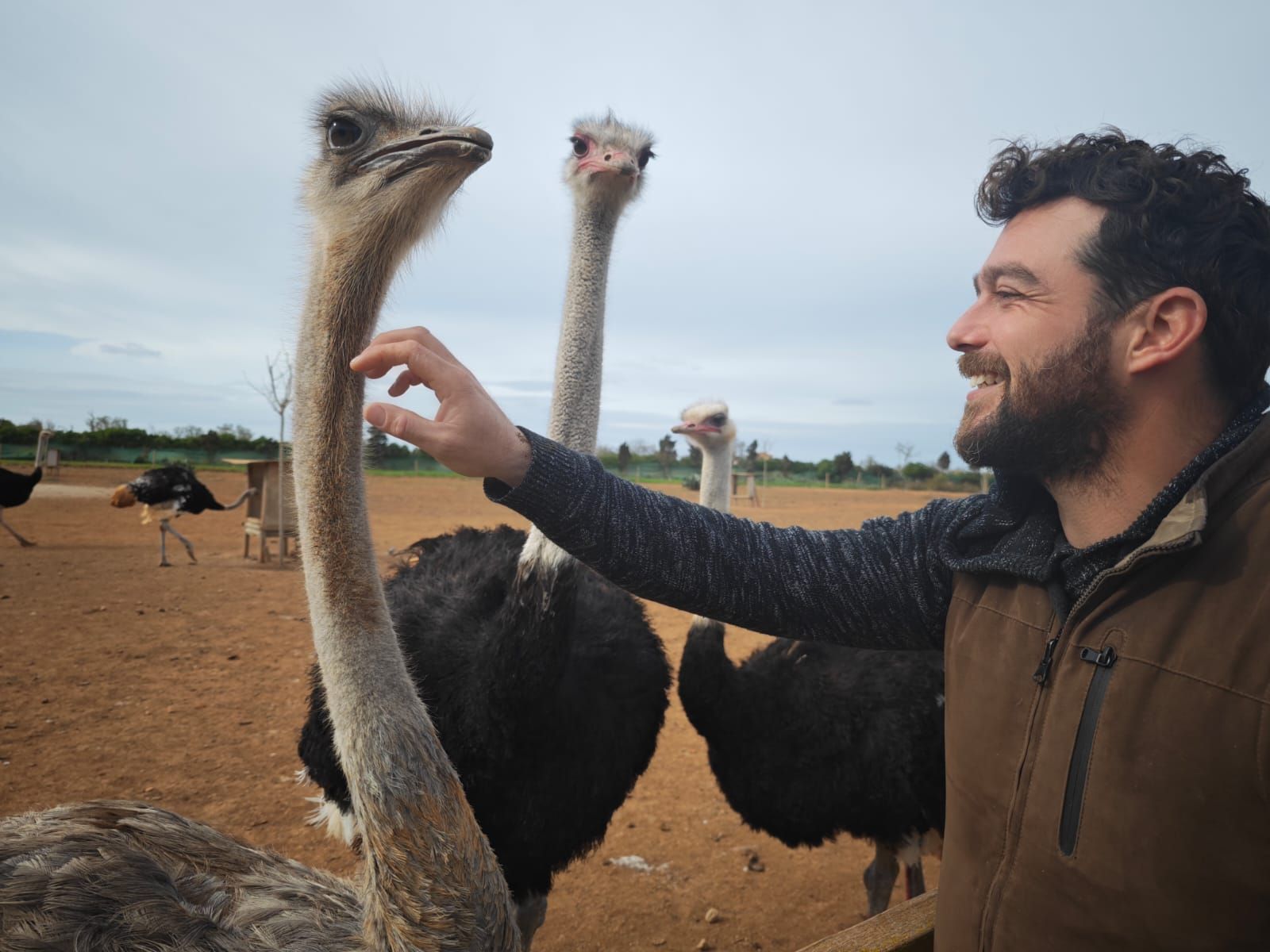 Fotos | La granja de avestruces de Mallorca, en imágenes