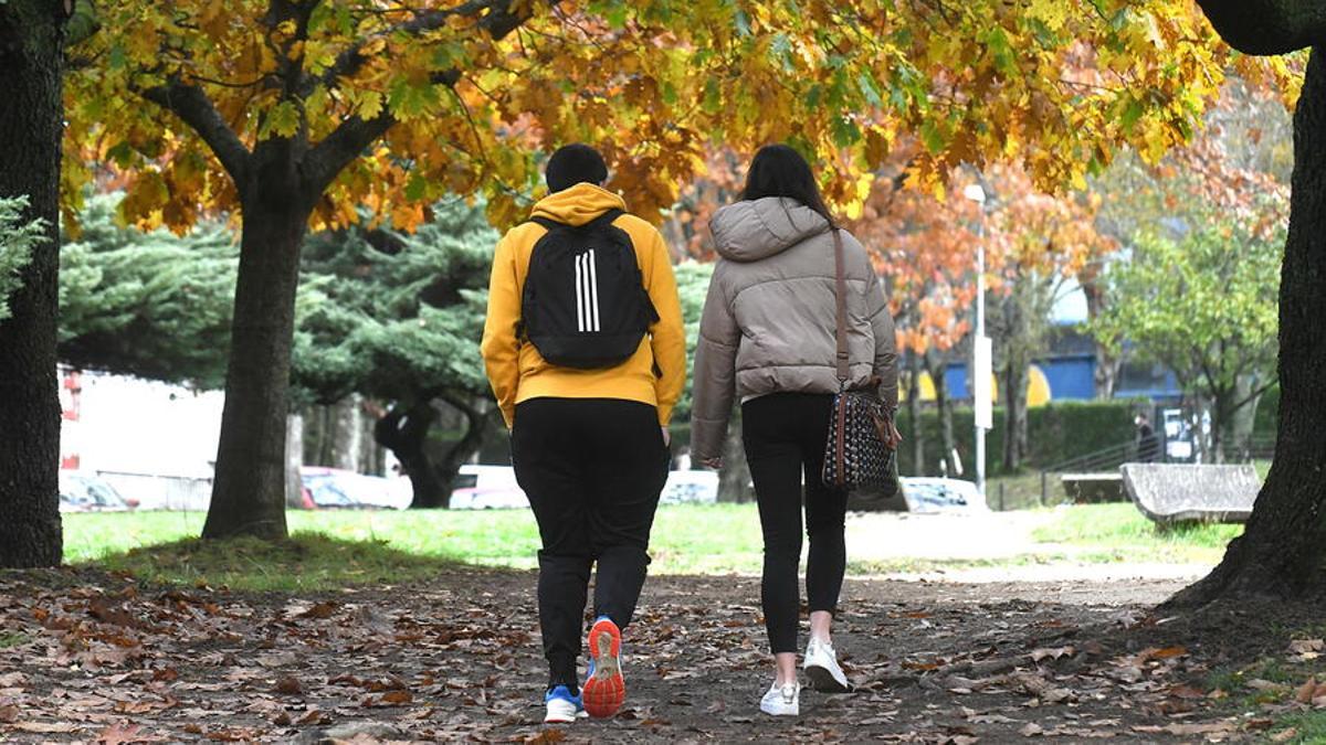 Dos jóvenes paseando por las inmediaciones del campus sur de la Universidade de Santiago.