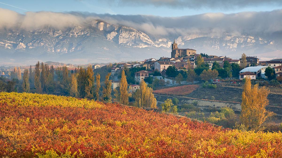 Viñedos en otoño con el pueblo de Navaridas y la sierra de Cantabria al fondo.
