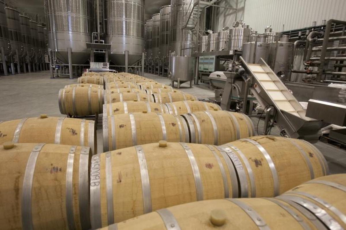 Instalaciones de la planta embotelladora de la cooperativa vinícola La Viña de la Font de la Figuera, en una imagen de archivo.  | PERALES IBORRA