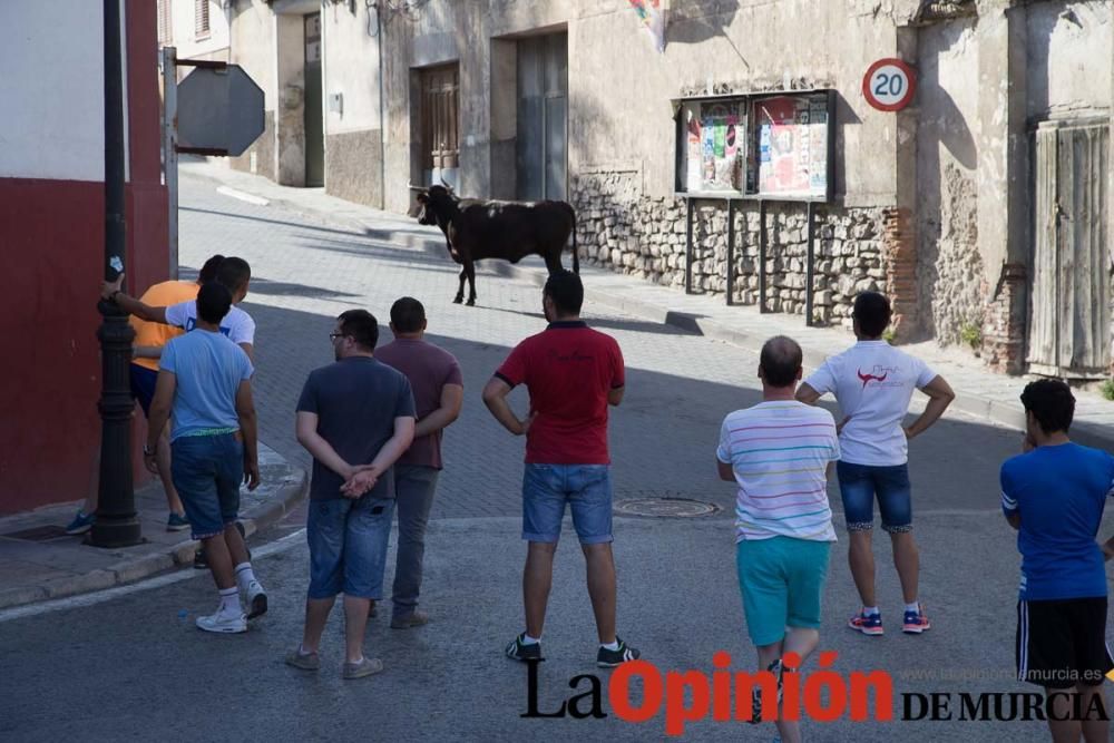 Cuarto encierro Fiestas de Moratalla