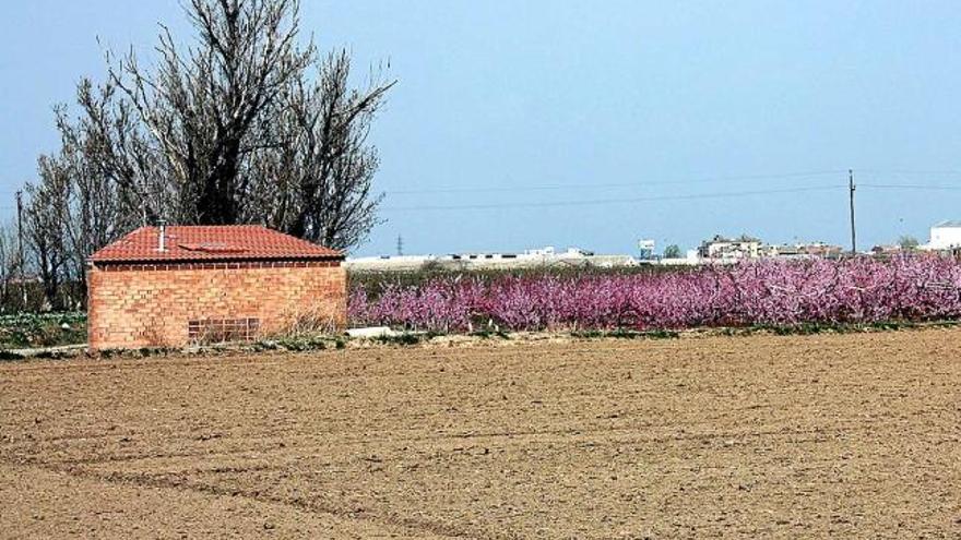 Al conjunt de l&#039;estat, el sòl utilitzat per a tasques agrícoles entre el 2003 i el 2013 va caure el 7,4%