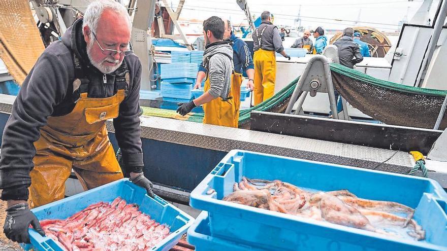 Los recortes siguen pasando factura a la pesca de Castellón y las capturas caen otro 10%