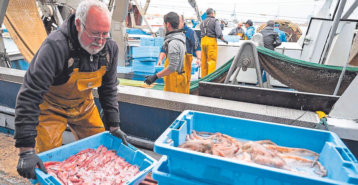 Un marinero desembarca las capturas del día en la lonja de Castelló.
