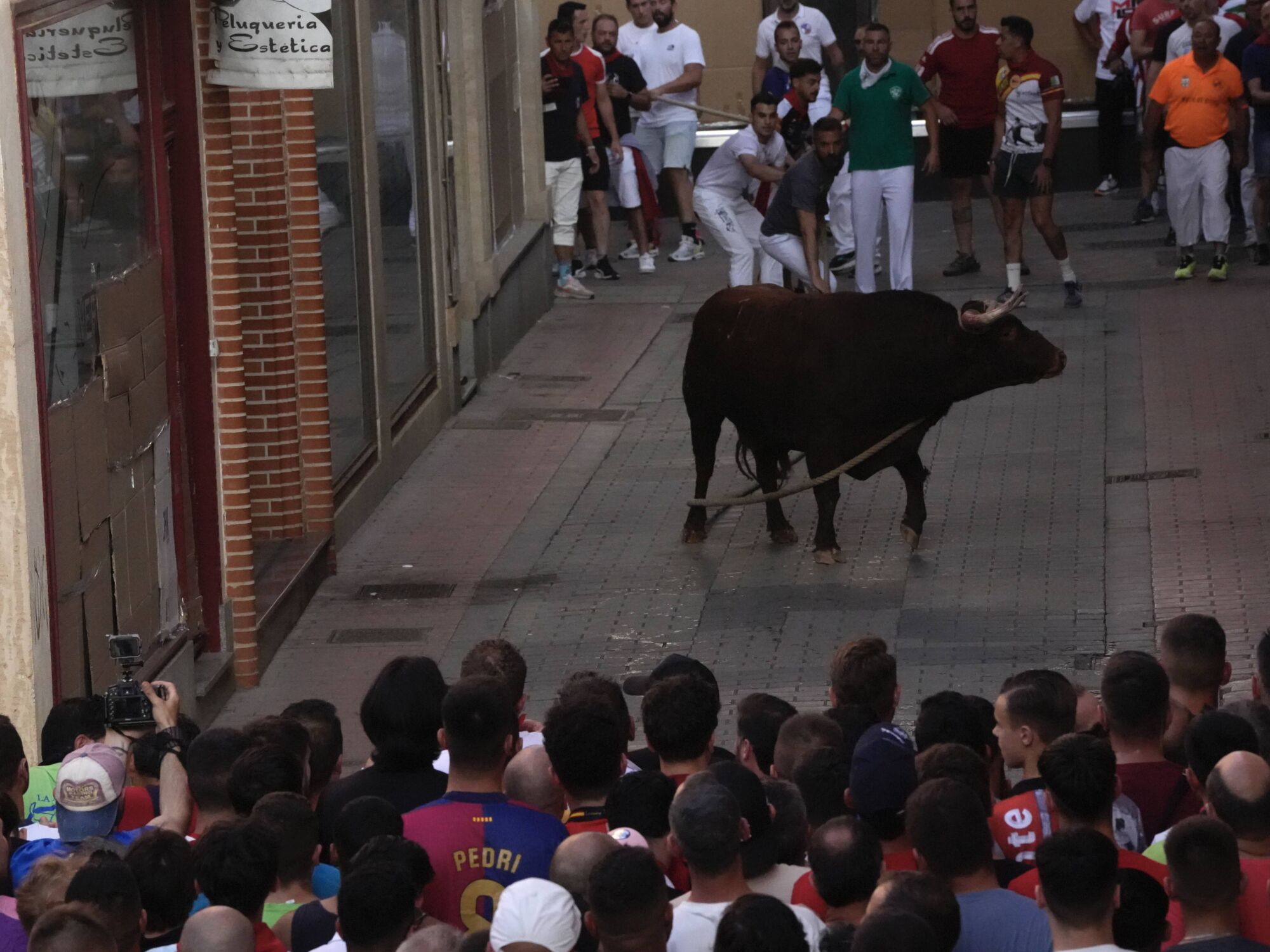 Las imágenes más impactantes del torito del alba de Benavente