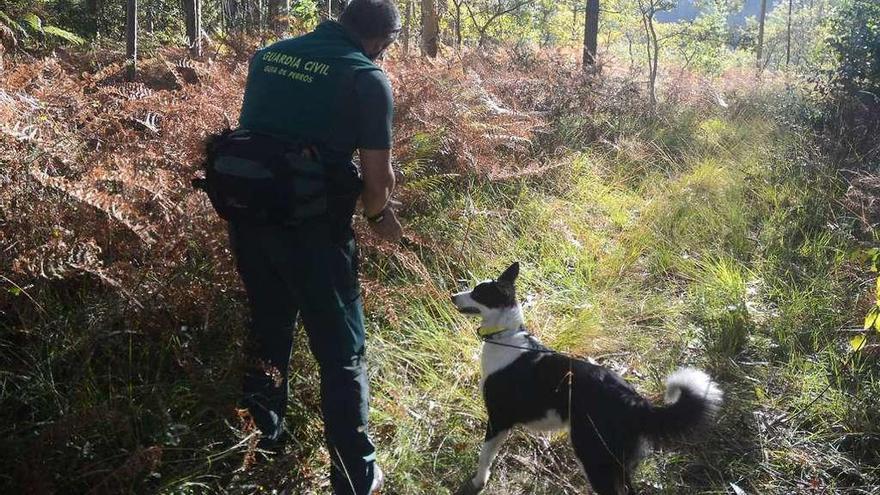 Un guardia civil con un perro rastreador ayer en Fragamoreira. // Rafa Vázquez