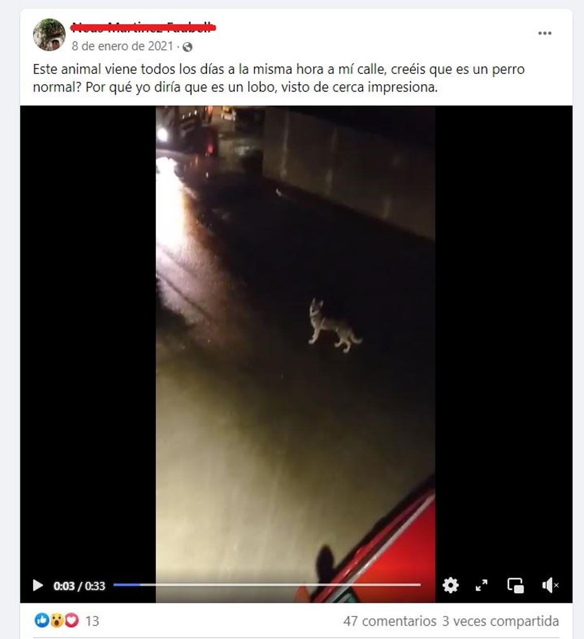 Una publicación de hace dos años sobre un animal de la misma raza que los perros 'lobo' que se han escapado ahora.