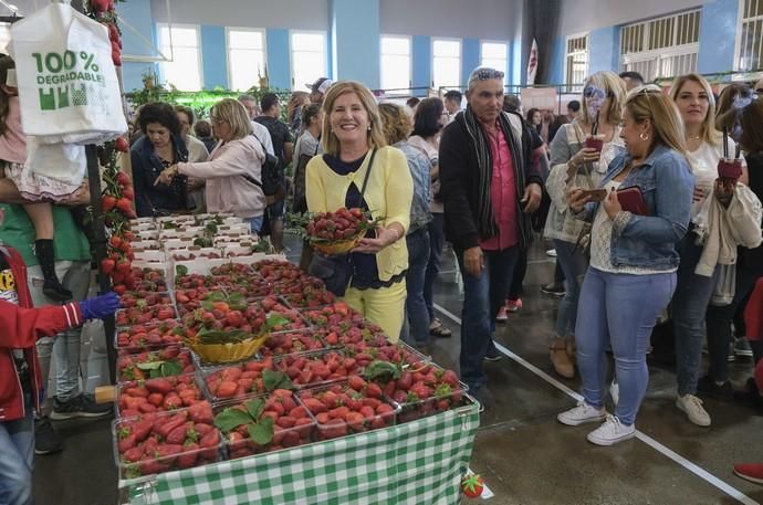 VALSEQUILLO. Feria de la fresa de Valsequillo  | 05/05/2019 | Fotógrafo: José Pérez Curbelo