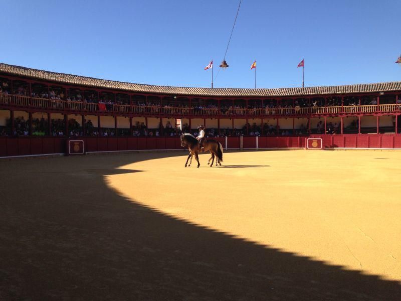 Fiestas en Toro | Becerrada de las peñas