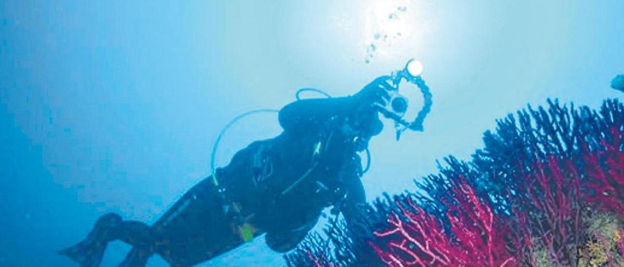 Fondos coralígenos de Islas Hormigas.