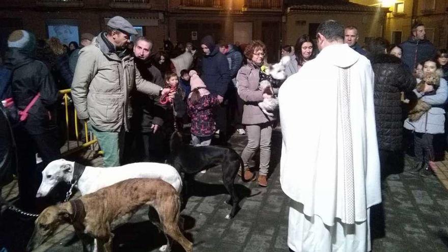 El párroco, José Luis Miranda, se dispone a bendecir a los animales congregados en el exterior de la iglesia de Santa María de Arbas.