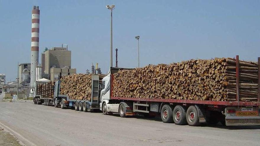 Transporte de eucalipto a la factoría de Navigator en Figueira da Foz. // TNC