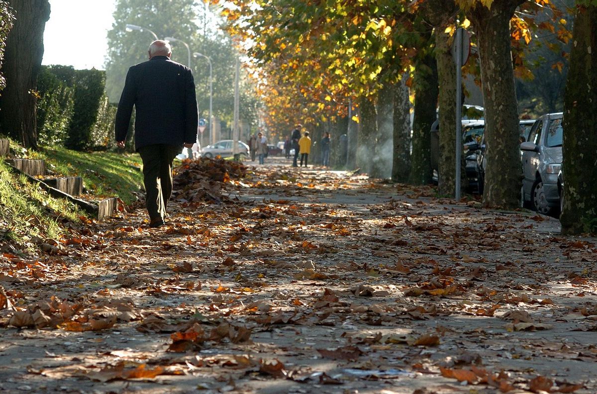 Un hombre camina solo por un parque.