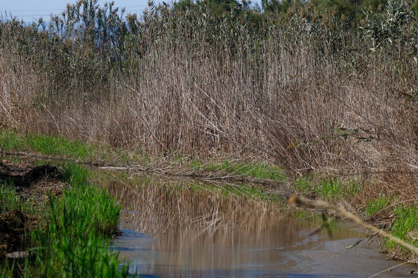 El Tancat de la Pipa vuelve a acoger visitantes tas un año cerrado por obras