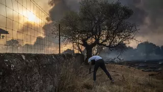 Situación crítica con ocho incendios activos en Extremadura: "La mano del hombre está detrás"
