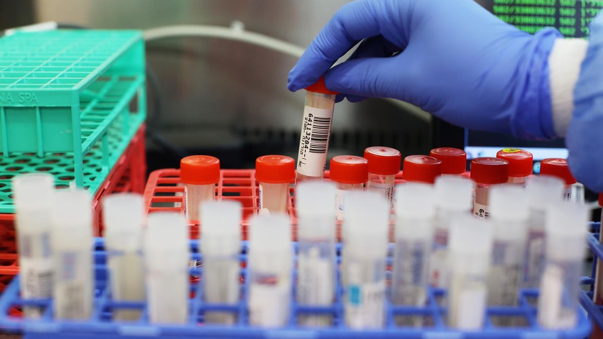 Test tubes in a coronavirus testing laboratory in Israel Test tubes in a coronavirus testing laboratory in Israel