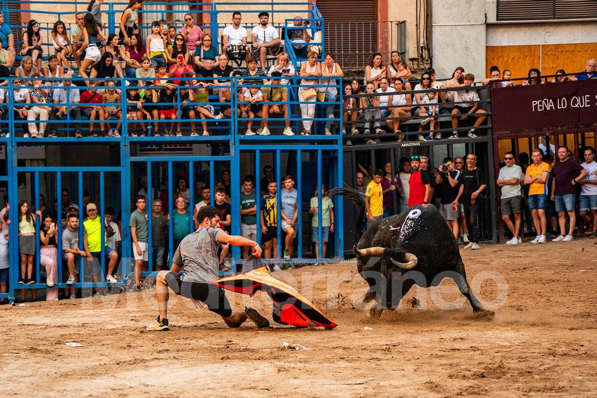 Bous a l'Alcora 2025