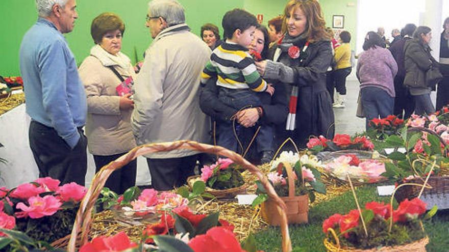 La exposición del último año cosechó un éxito de público.  // Gonzalo Núñez