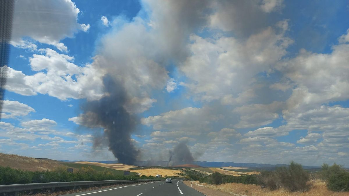 Vista del incendio desde la autovía de Málaga, llegando a Córdoba.