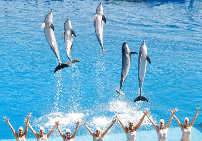 Oceanogràfic  de València