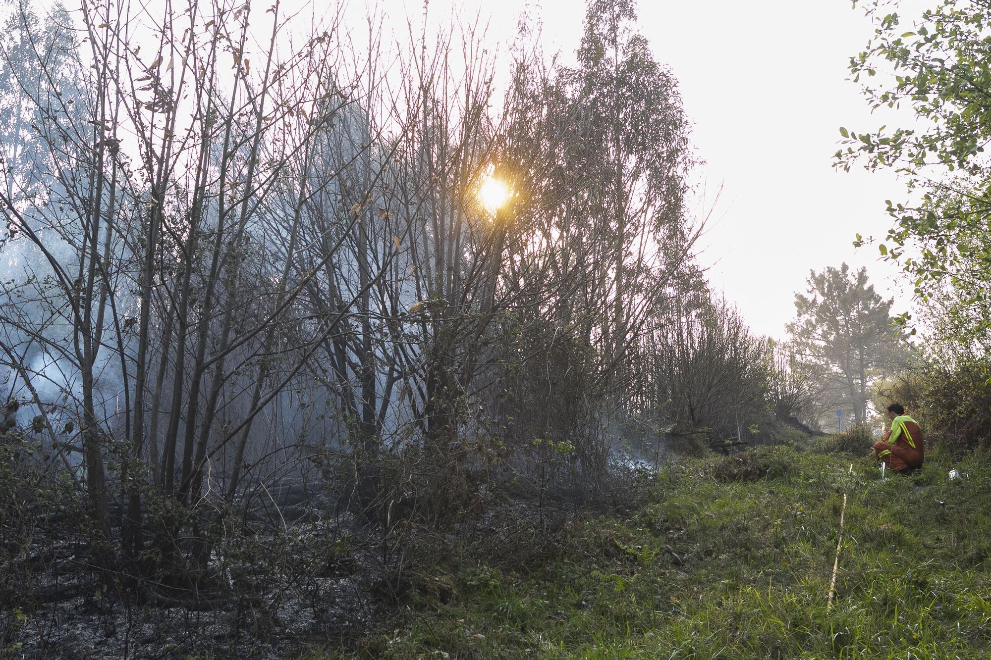 El fuego llega a la comarca de Avilés y se adentra en la Plata (Castrillón)