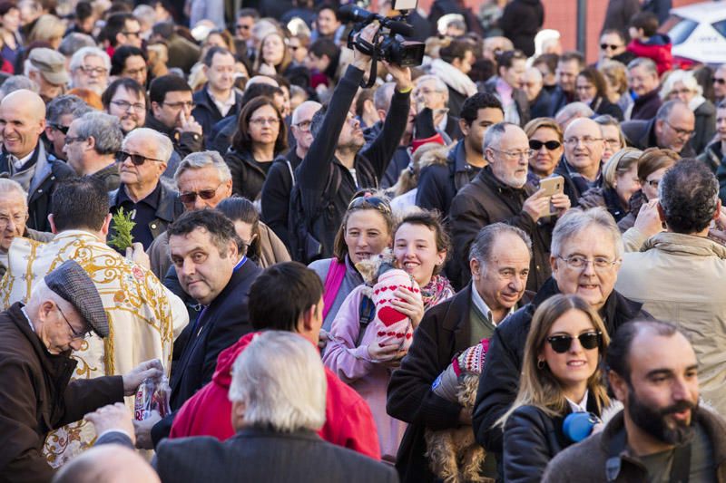 Bendición de animales por Sant Antoni del Porquet