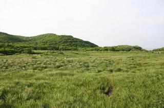 Descubren una bacteria insólita en el Pantano del Dragón de Corea del Sur