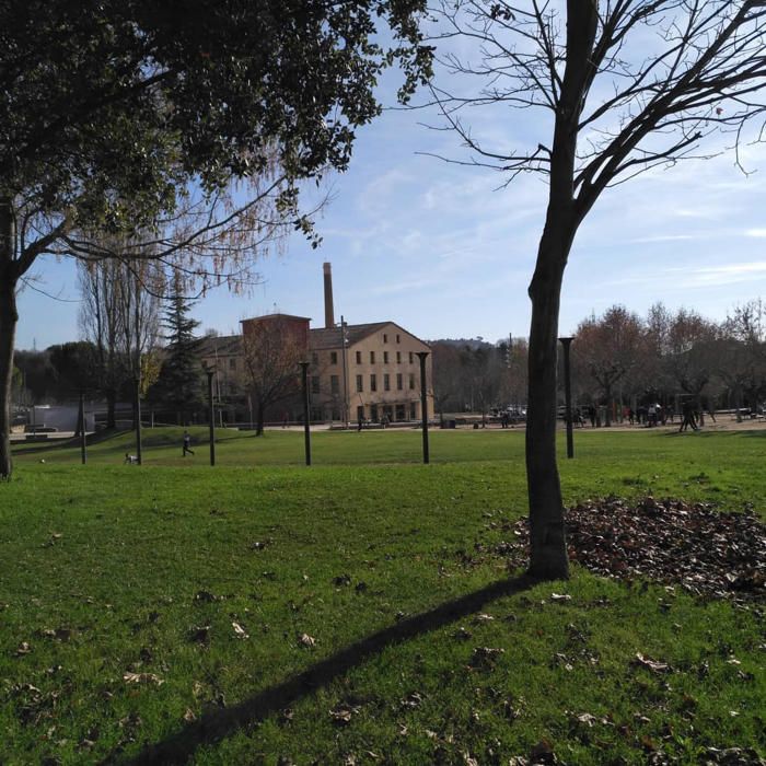 El parc Catalunya de Sant Joan de Vilatorrada està ben verd.