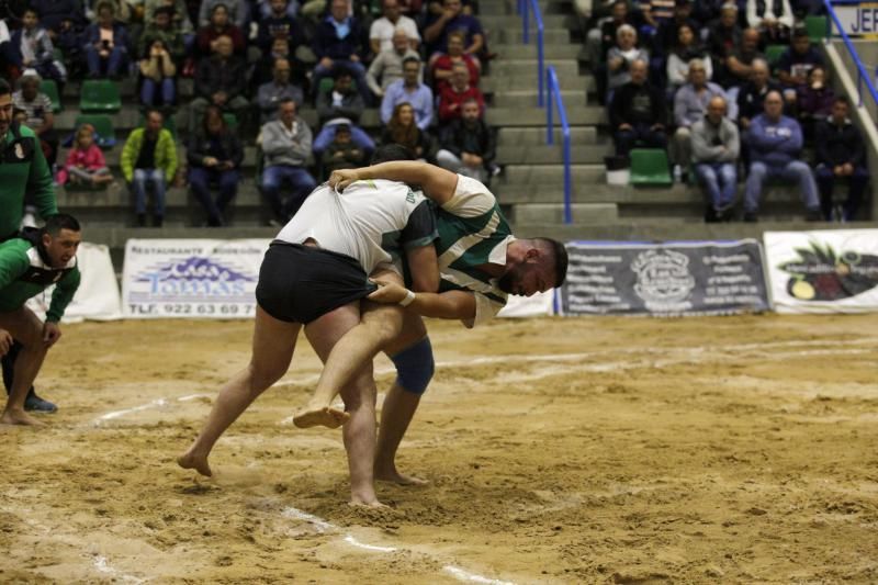 Final de la Liga Cabildo de Segunda categoría de Lucha Canaria  | 14/02/2020 | Fotógrafo: Delia Padrón