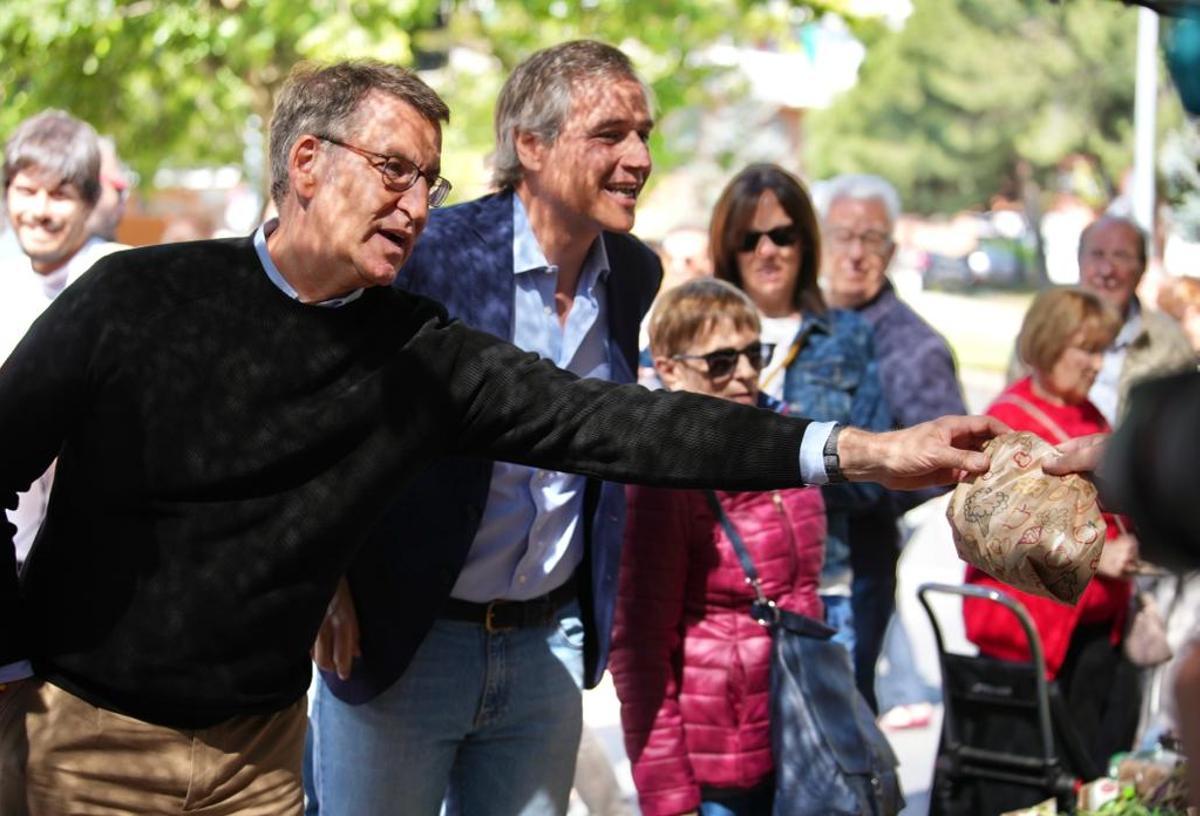Alberto Núñez Feijóo compra en un puesto de un mercadillo de Alcorcón, este martes, junto al candidato del PP en esa ciudad de Madrid, Antonio García Terol. Alberto Núñez Feijóo compra en un puesto de un mercadillo de Alcorcón, este martes, junto al candidato del PP en esa ciudad de Madrid, Antonio García Terol.
