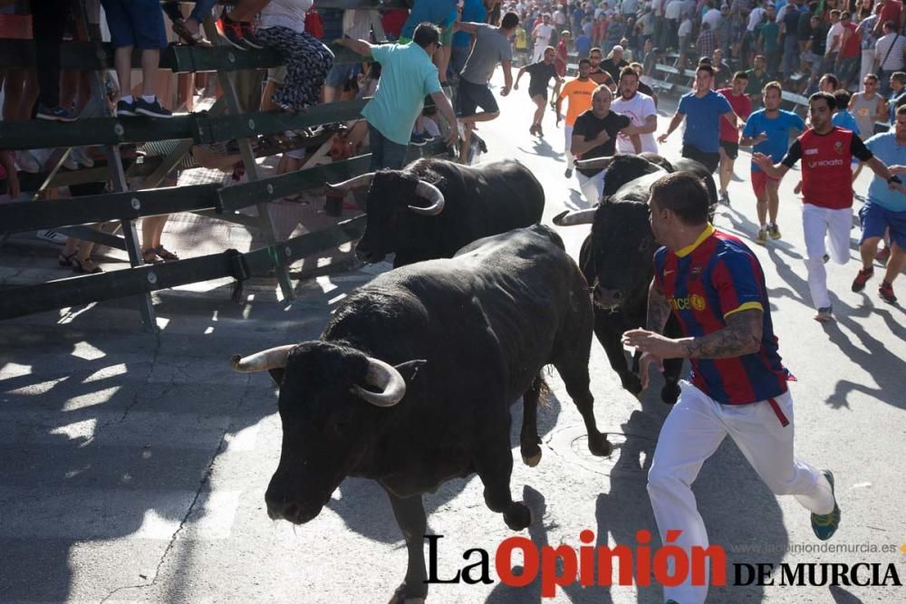 Primer encierro de Calasparra