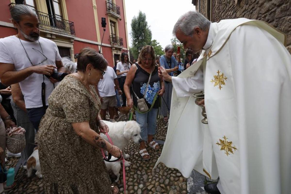 EN IMÁGENES: la bendición de San Roque a las mascotas en El Carbayedo, en Avilés