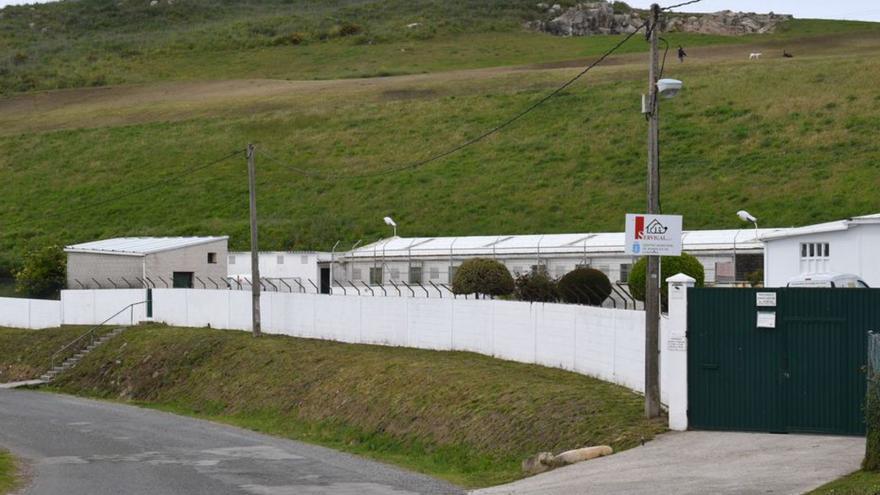 Exterior de la perrera municipal de A Coruña .  | // VÍCTOR ECHAVE