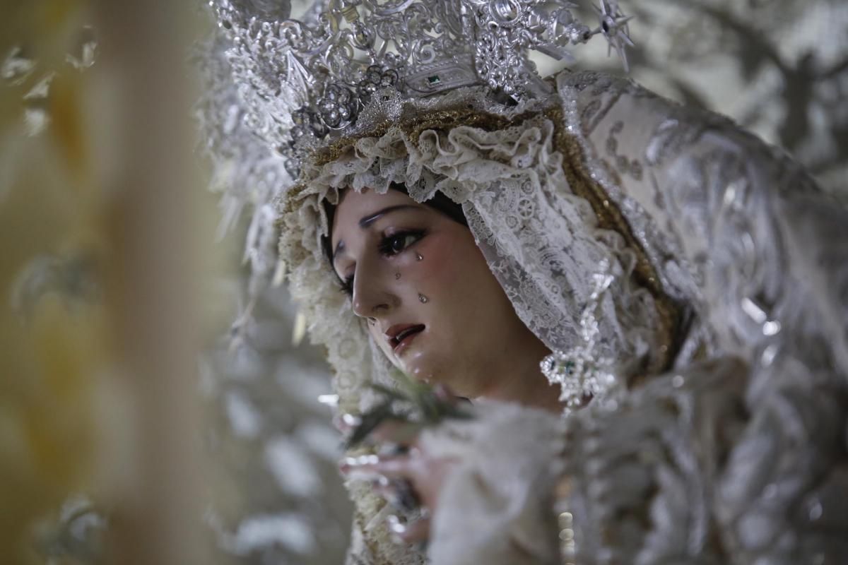 Lagrimas de Humildad y Paz en Capuchinos