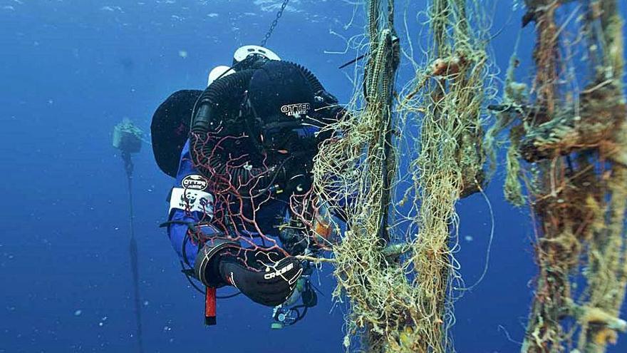 Un buceador retira una red fantasma de un fondo marino