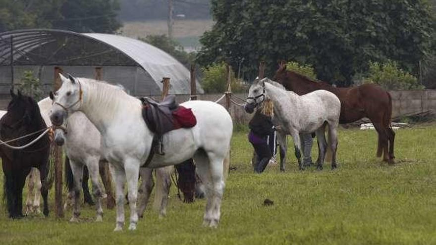 Manzaneda disfrutó con las carreras de cintas a caballo pese a la lluvia